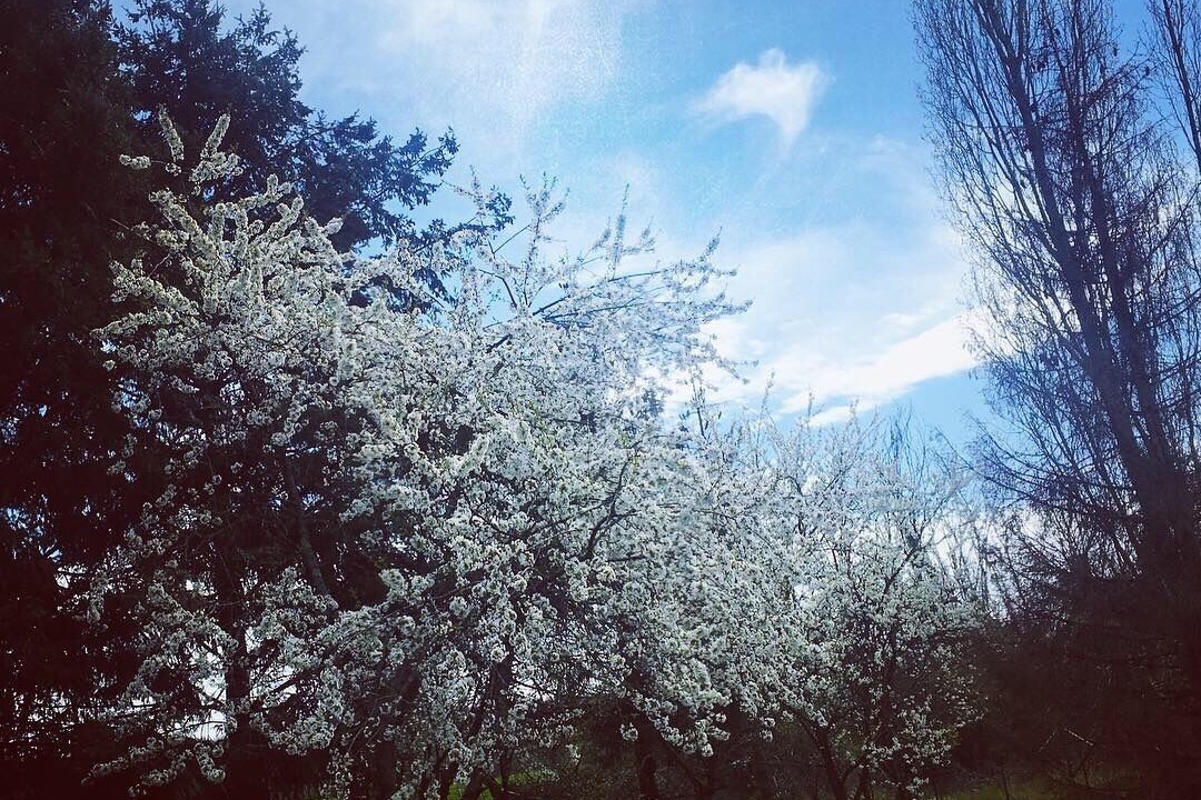 Photo of Outdoor in Paucourt