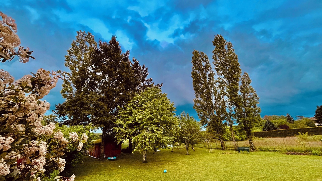 Photo of Outdoor in Paucourt