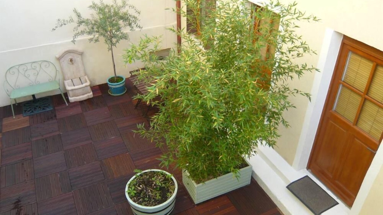 Photo of Outdoor in Santy - La Plaine