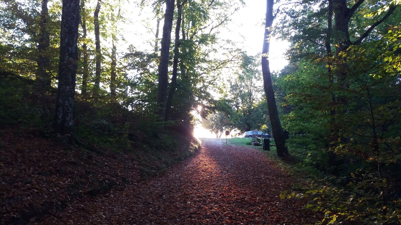 Photo of Outdoor in Izeaux