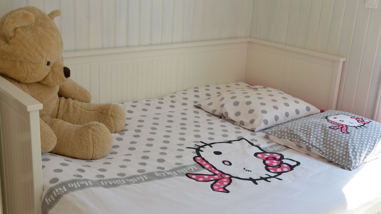 Photo of Bedroom in Mouilleron-le-Captif