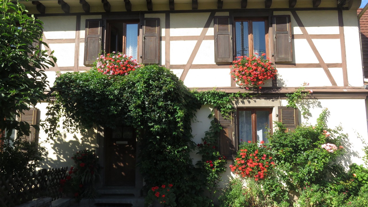 Photo of Outdoor in Metzeral