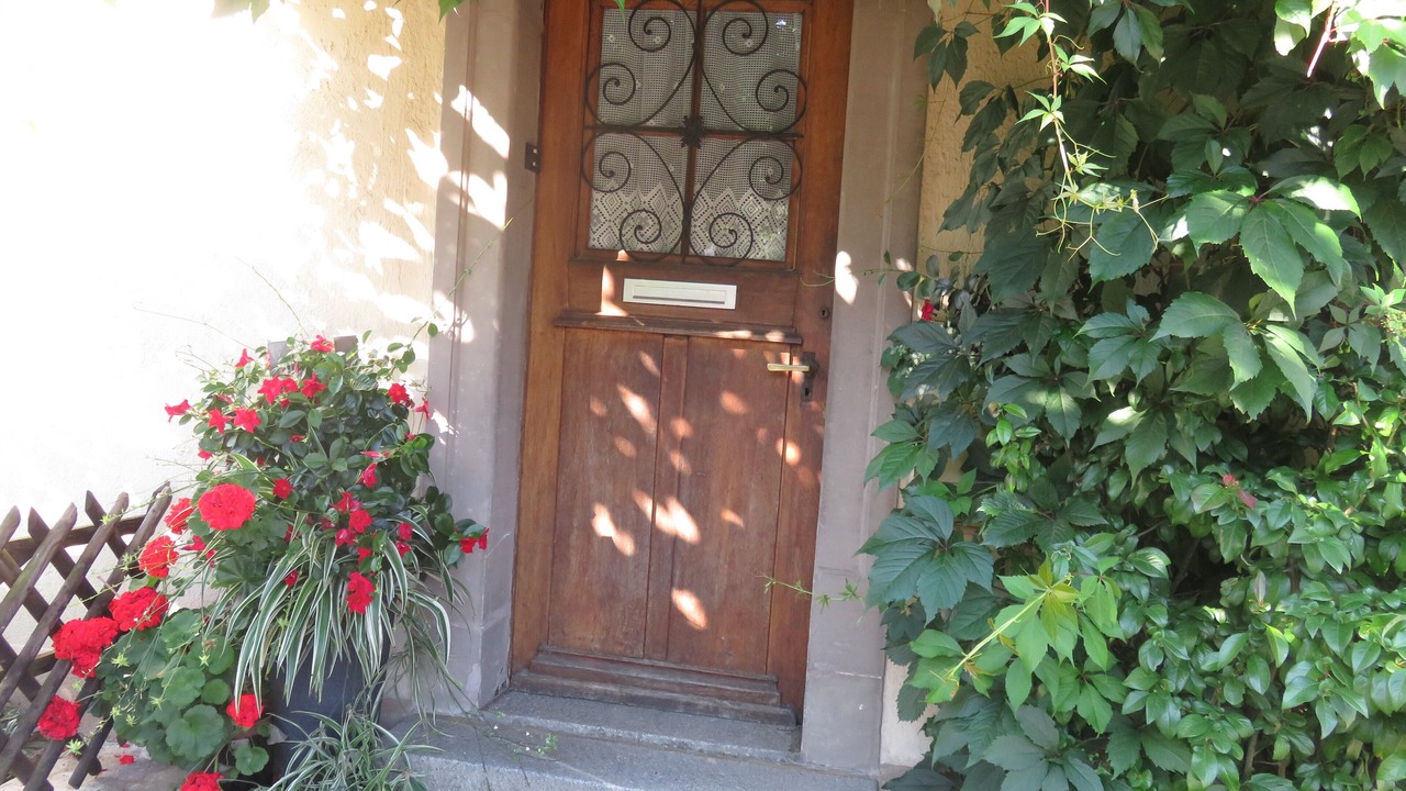 Photo of Outdoor in Metzeral