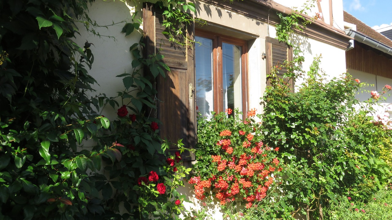 Photo of Outdoor in Metzeral