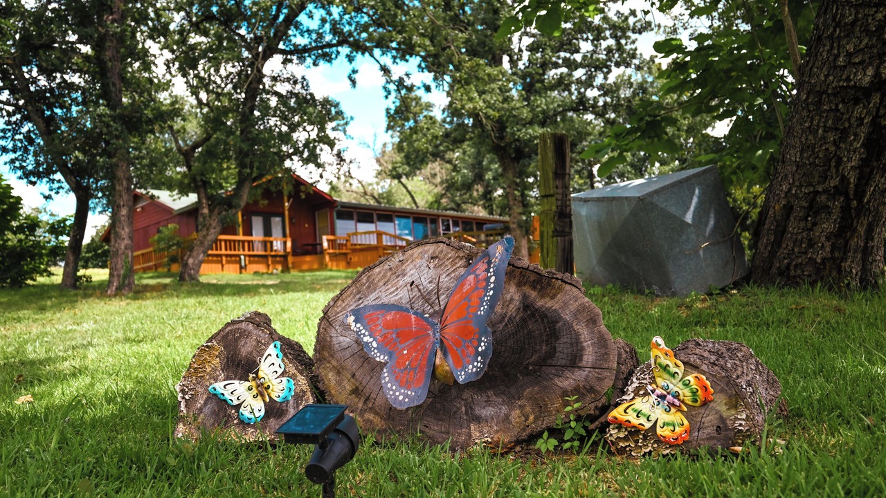 Photo of Outdoor in Edom