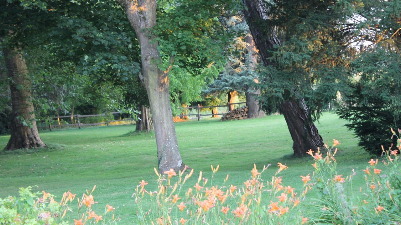 Photo of Outdoor in Nogent-le-Roi