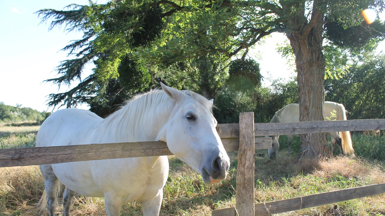 Photo of Outdoor in Nogent-le-Roi