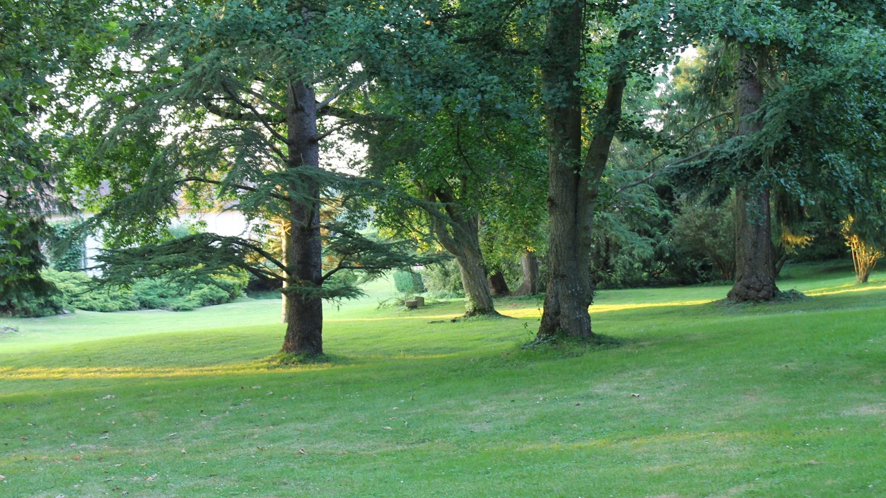 Photo of Outdoor in Nogent-le-Roi