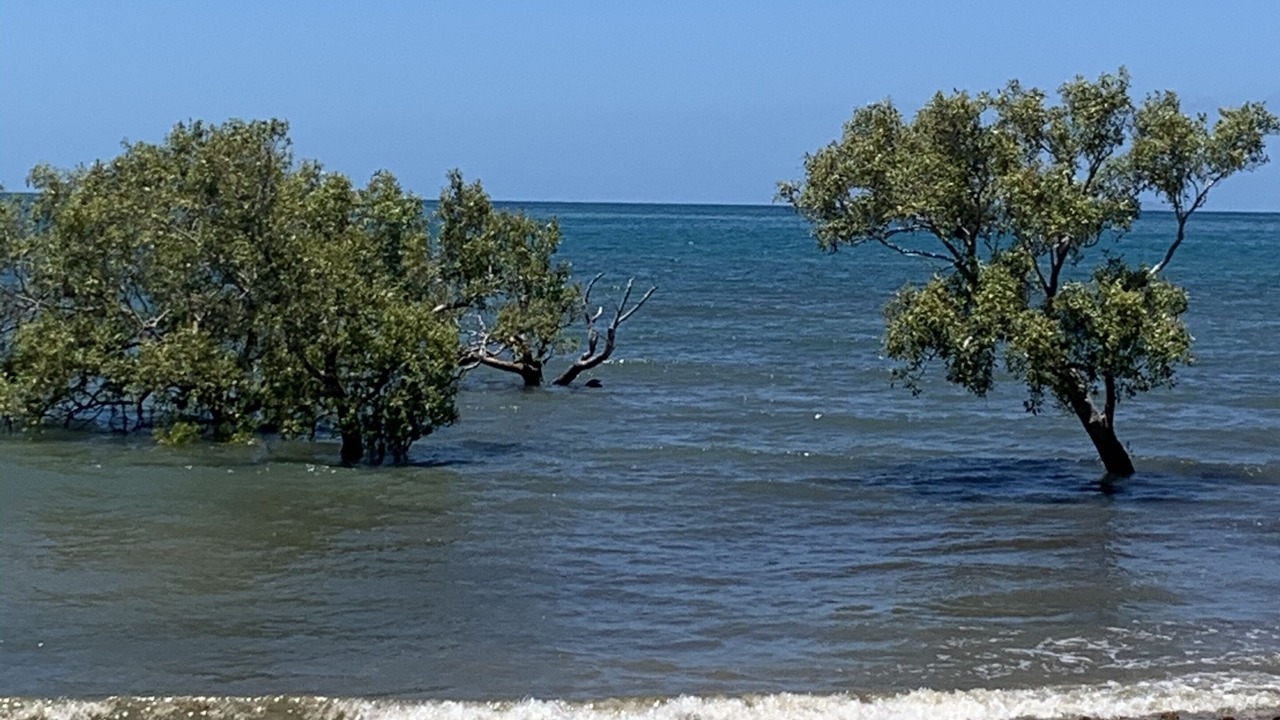 Photo of Others in Rollingstone