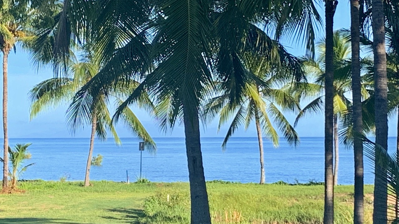 Photo of Others in Rollingstone