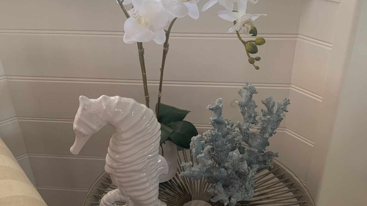 Photo of Others in Rollingstone