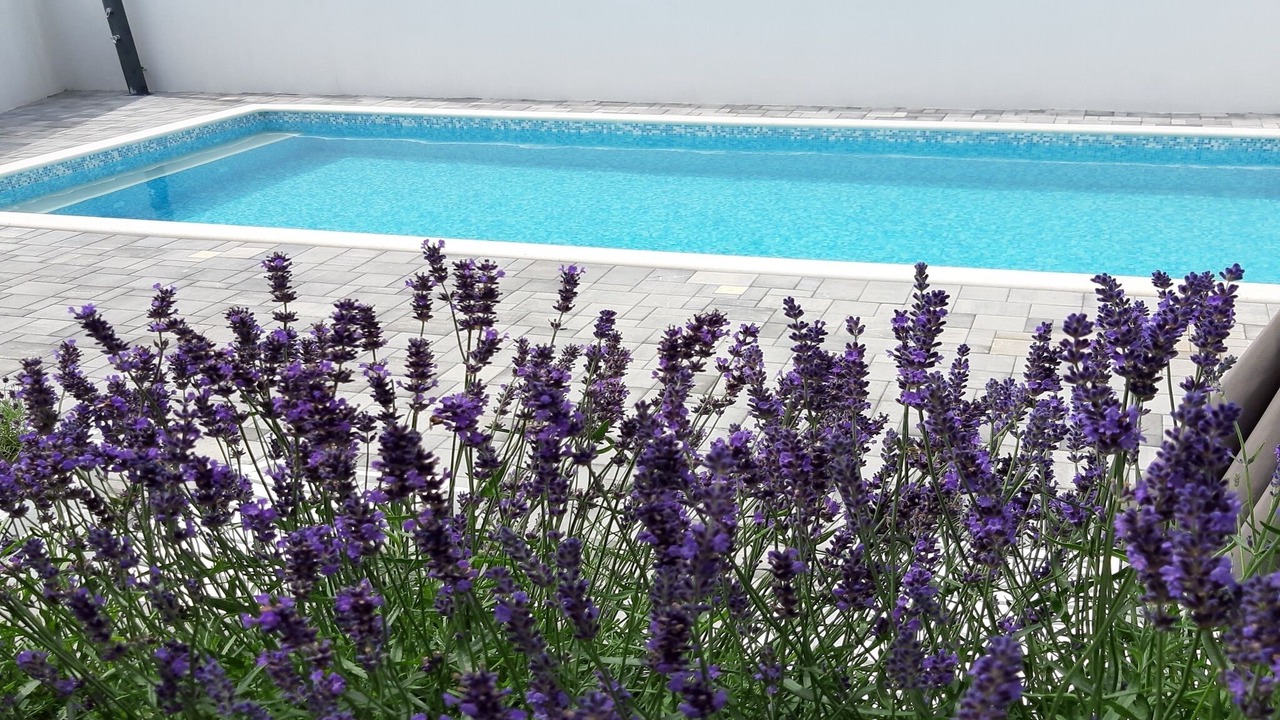 Photo of Outdoor in Seline