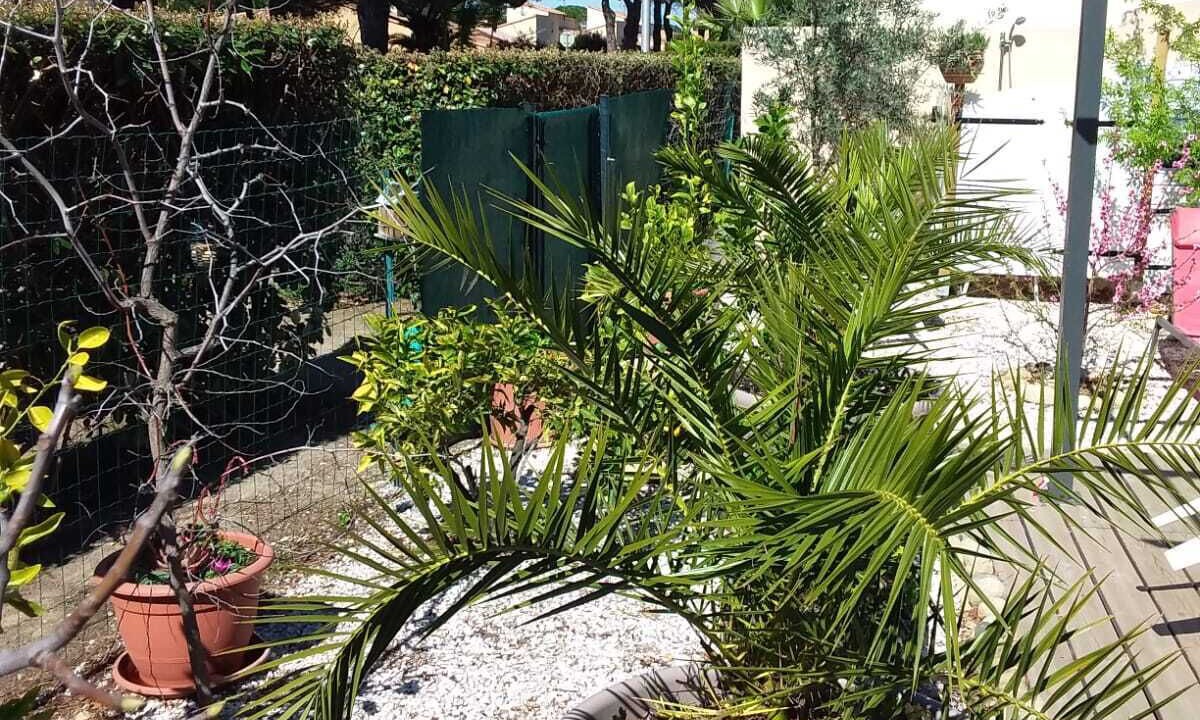Photo of Outdoor in Saint-Cyprien Plage