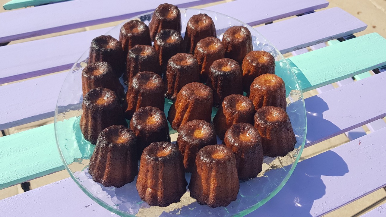 Photo of Others in Bussac-Foret