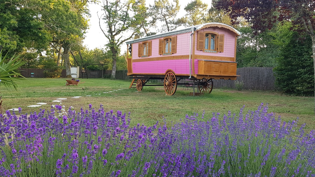 Photo of Outdoor in Bussac-Foret