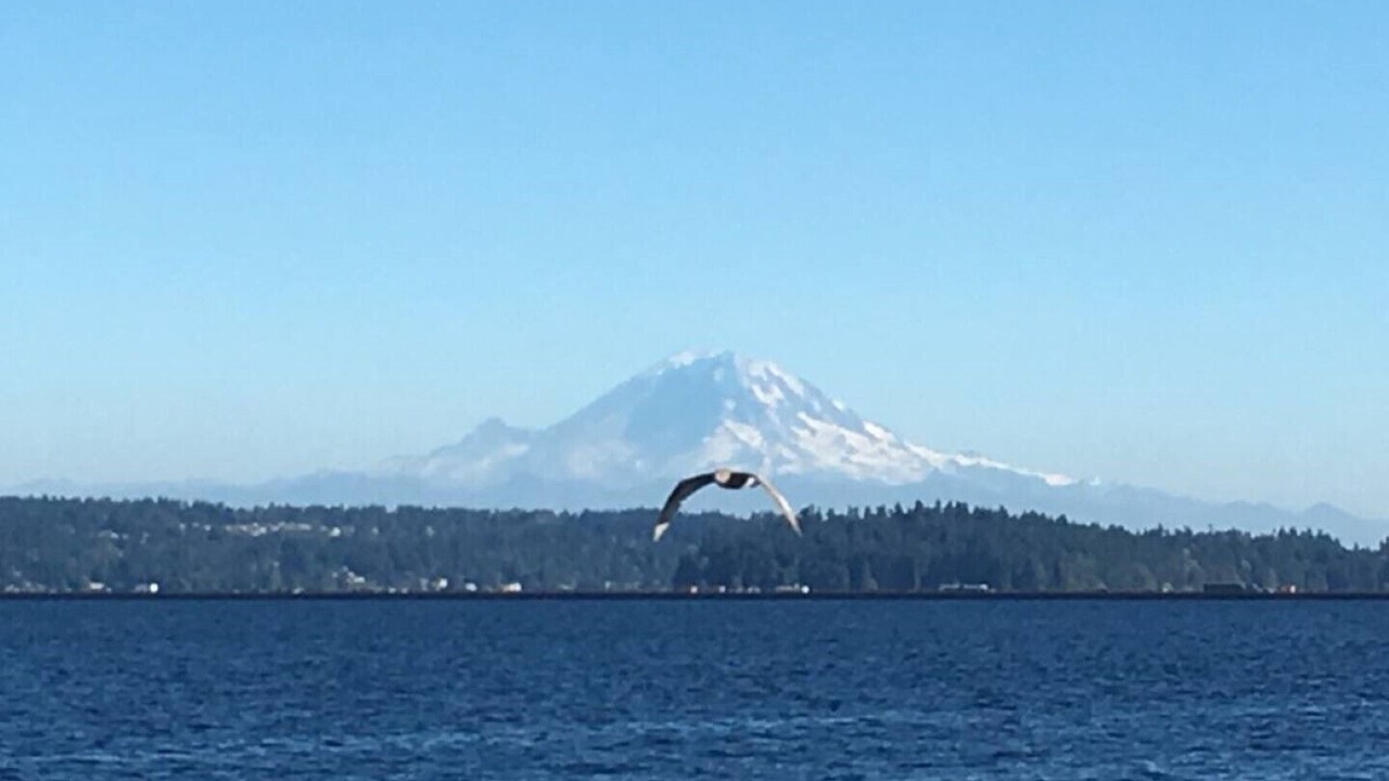 Photo of Others in Brighton