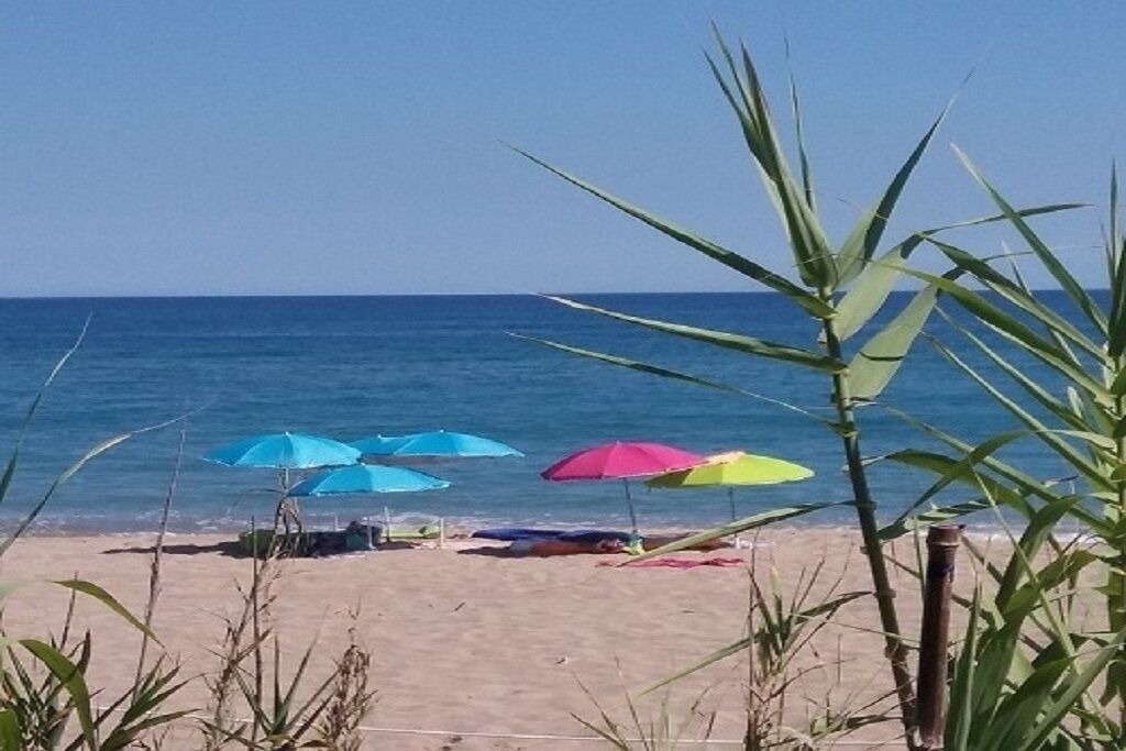 Photo of Others in Roda de Bara