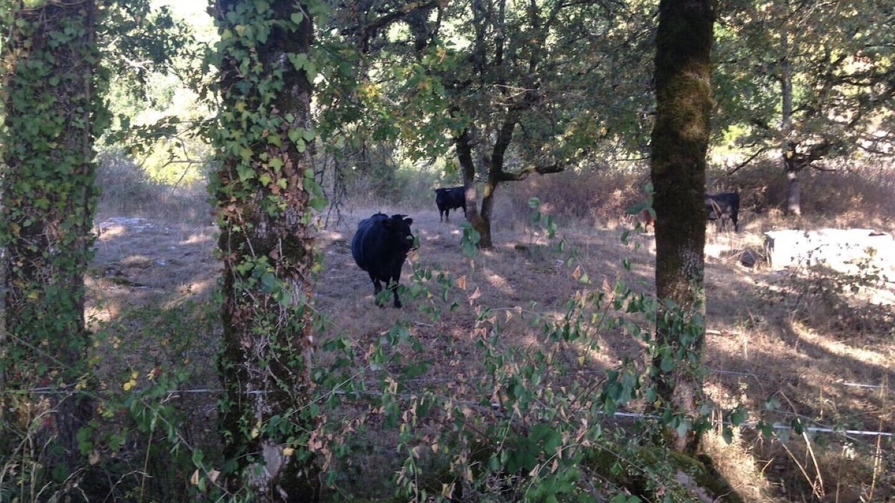Photo of Outdoor in Pontcirq