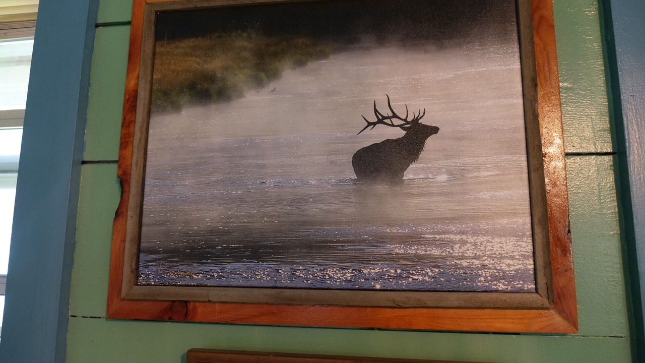 Photo of Others in New Meadows