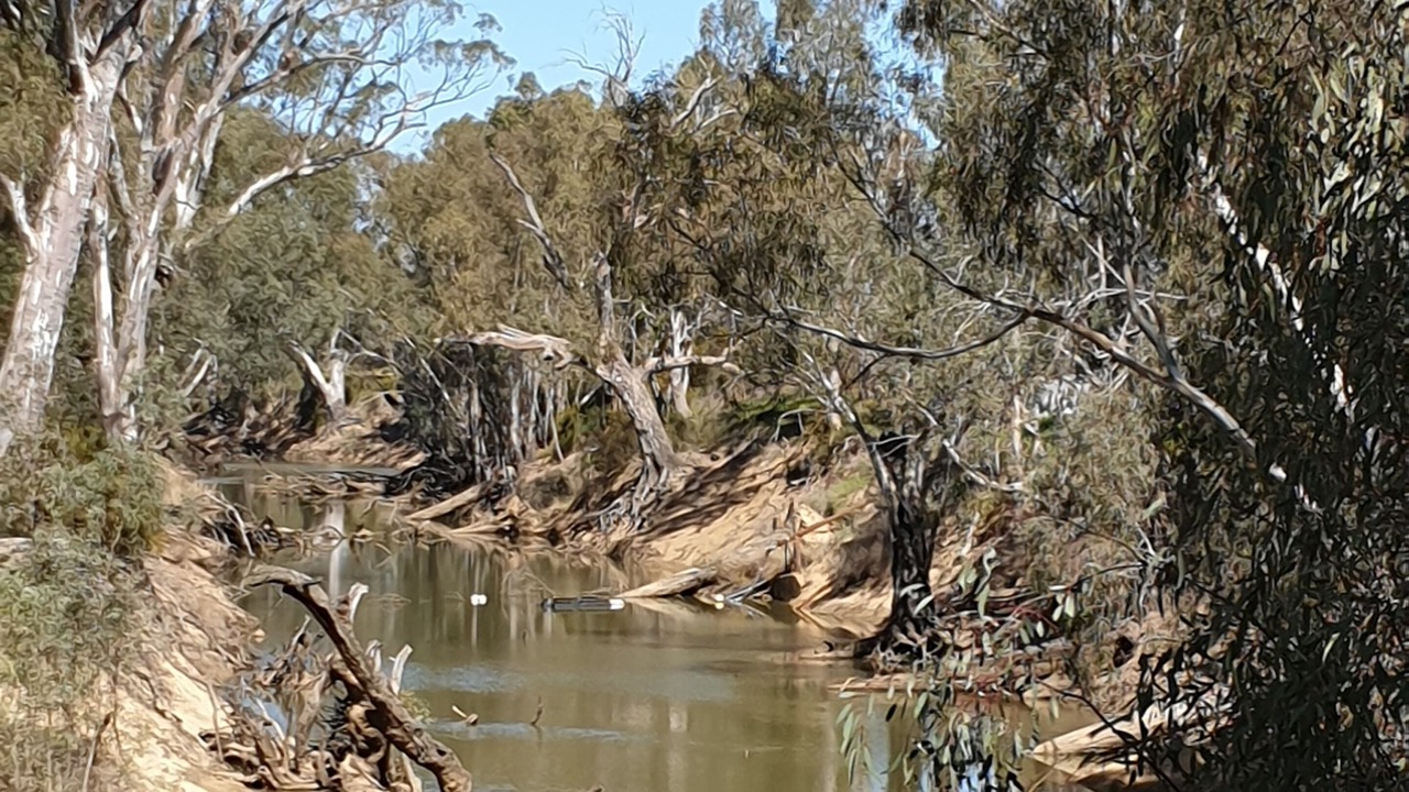 Photo of Others in Echuca