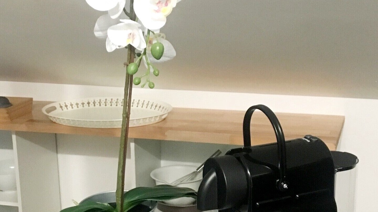 Photo of Kitchen in Saint-Herblain