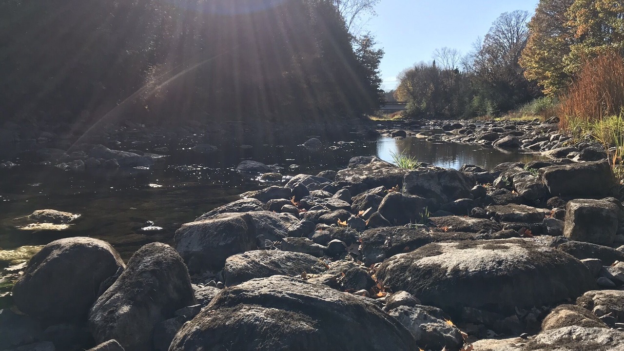 Photo of Others in Tyendinaga