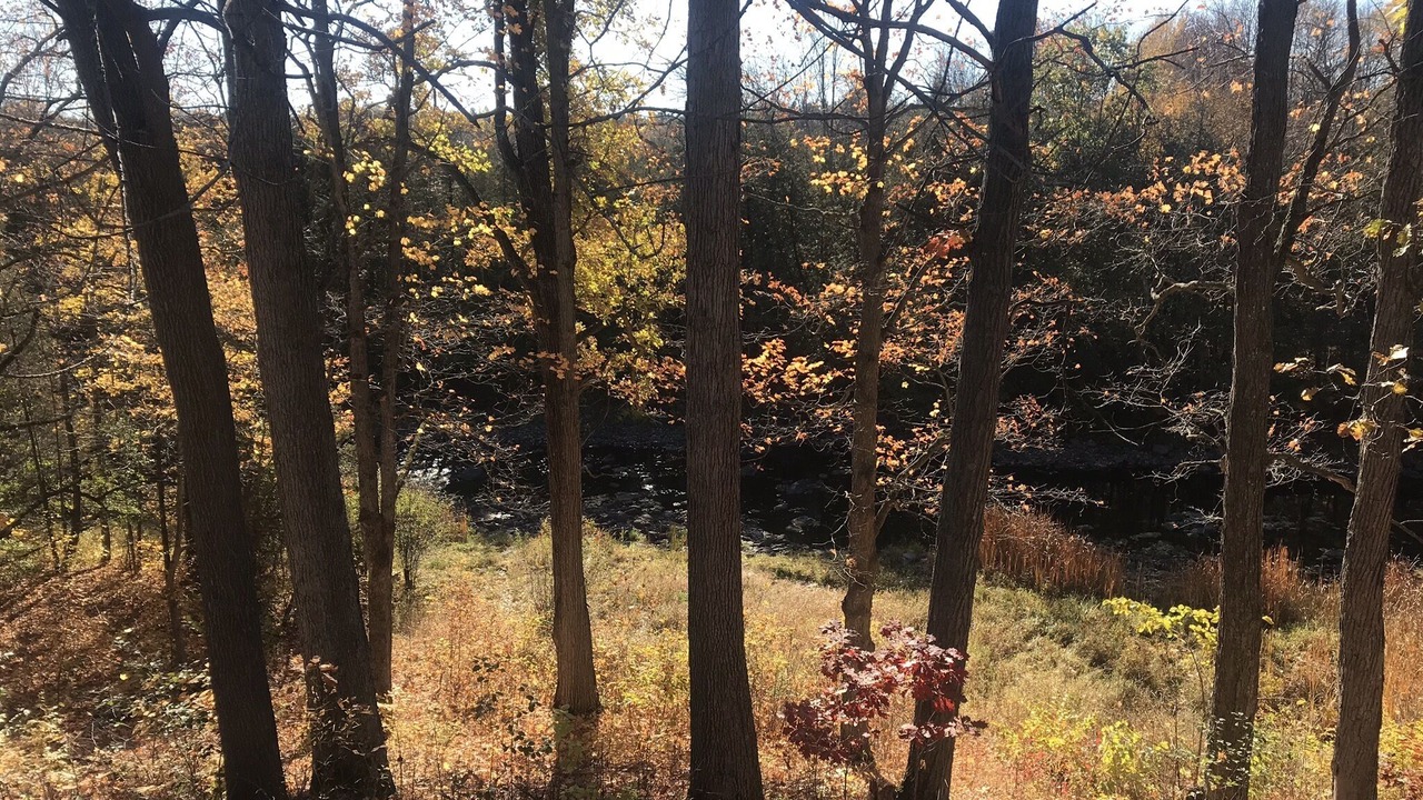 Photo of Outdoor in Tyendinaga