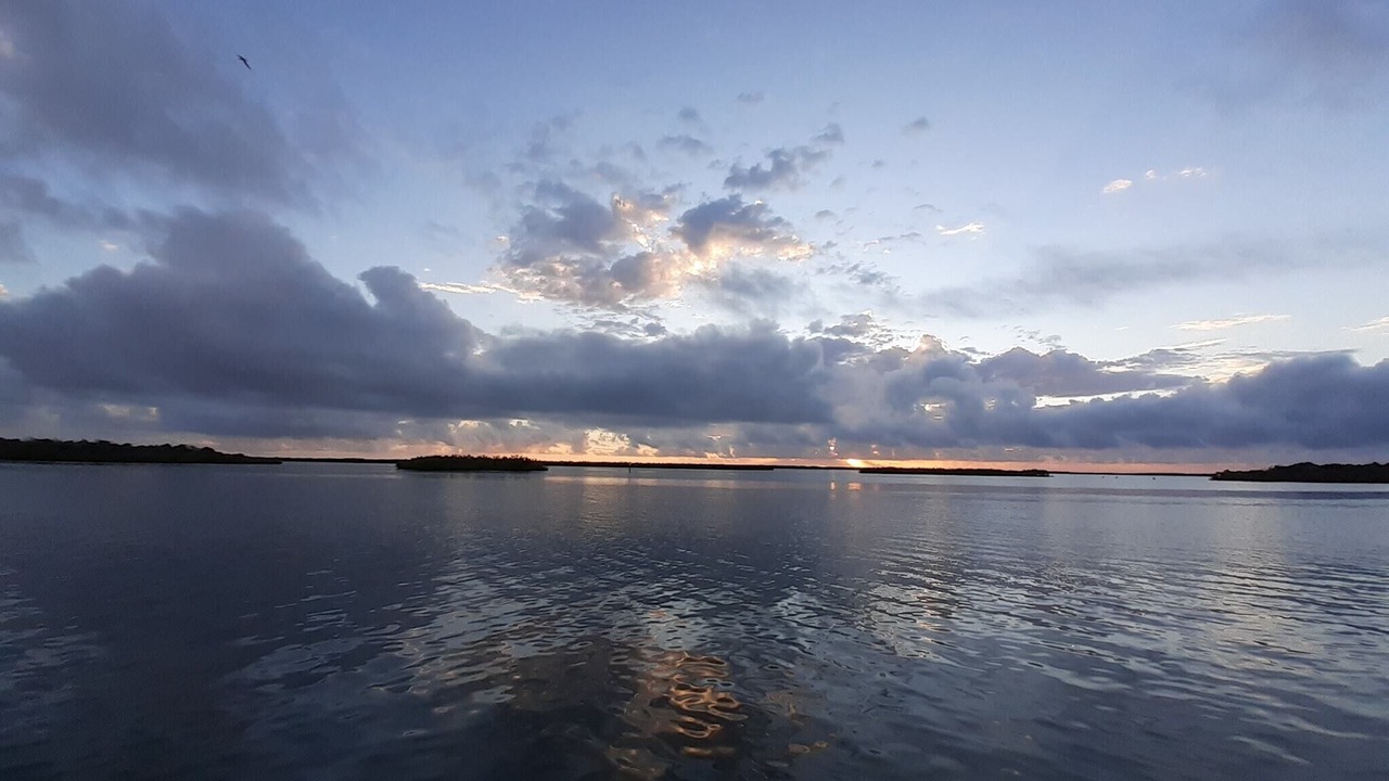 Photo of Others in Oak Hill