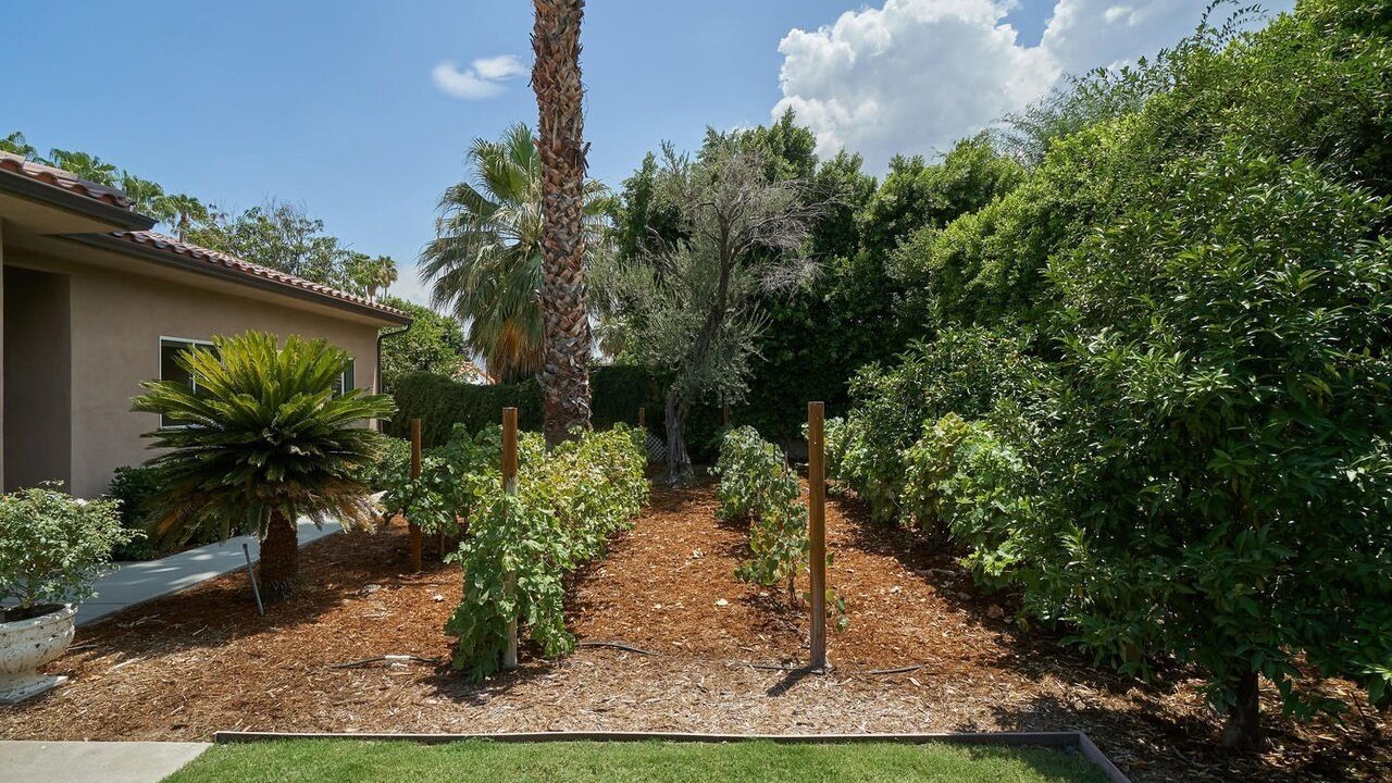 Photo of Outdoor in The Movie Colony