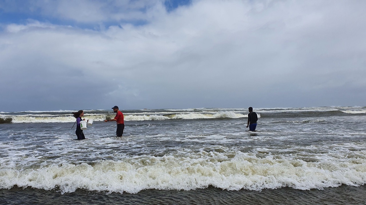 Photo of Others in Glinks Gully