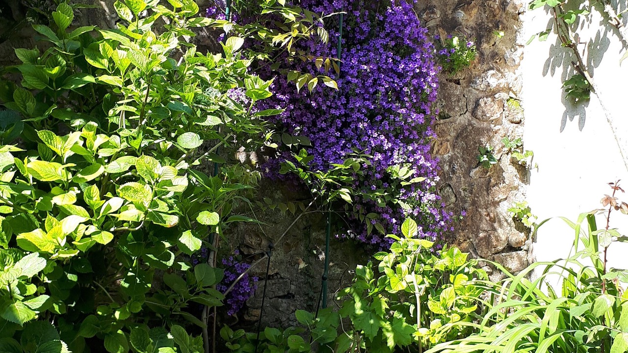 Photo of Outdoor in Le Bec-Hellouin