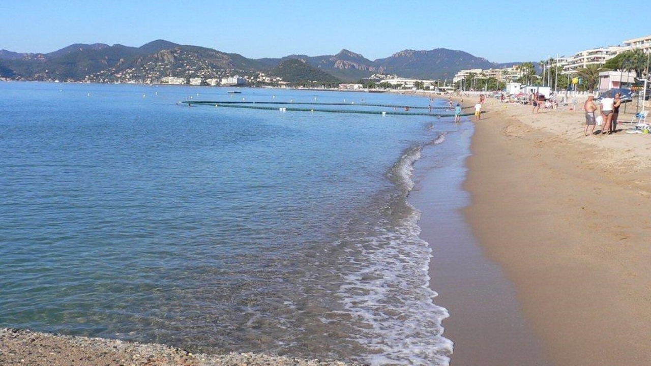 Photo of Others in La Bocca