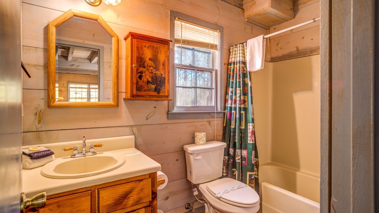 Photo of Bathroom in Helen