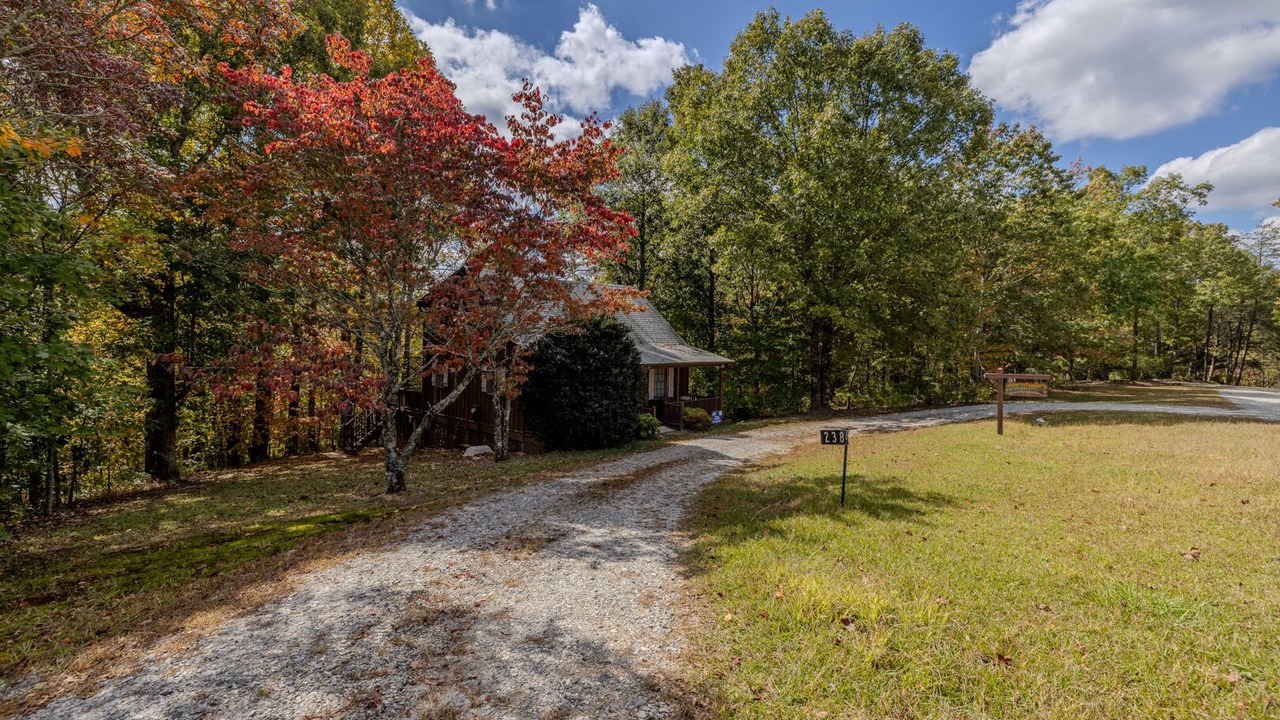 Photo of Outdoor in Helen
