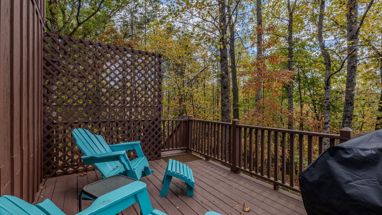 Photo of Outdoor in Helen