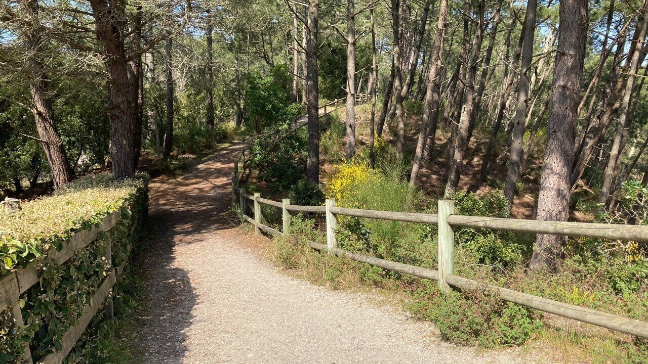 Photo of Outdoor in Maubuisson