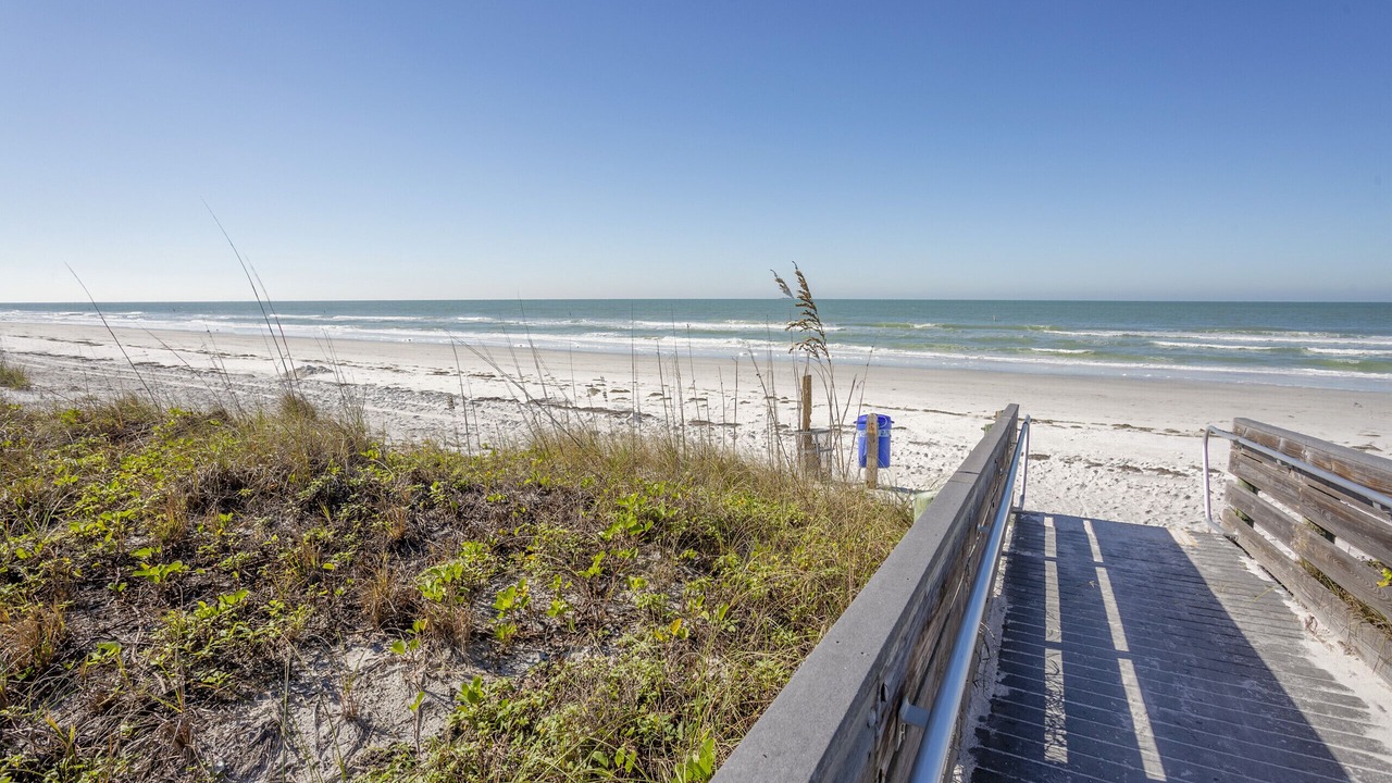 Photo of Others in Indian Rocks Beach