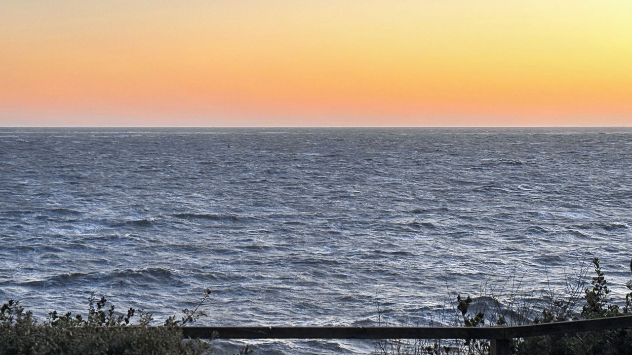 Photo of Others in Corton