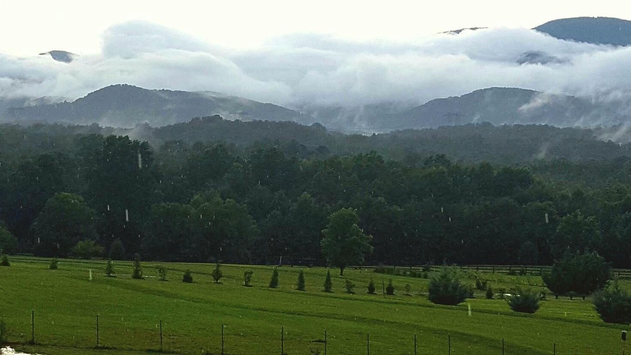 Photo of Outdoor in Landrum