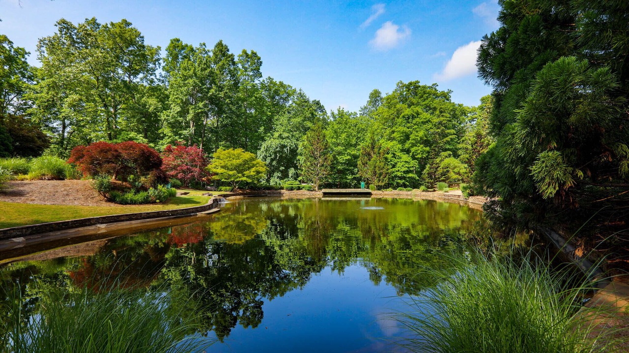 Photo of Outdoor in Flowery Branch