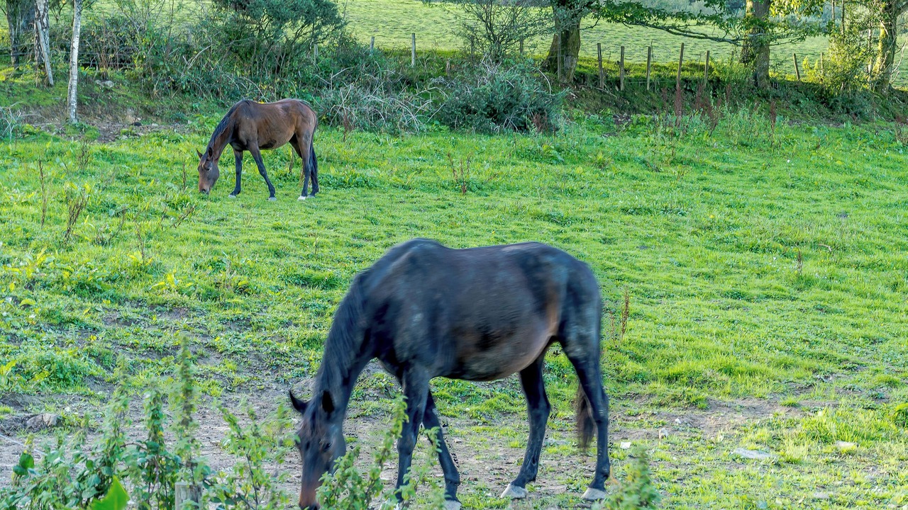 Photo of Others in Neath