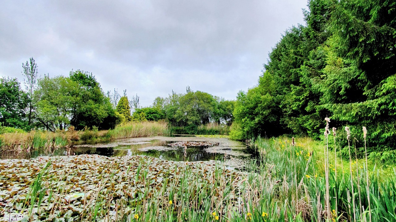 Photo of Outdoor in Neath