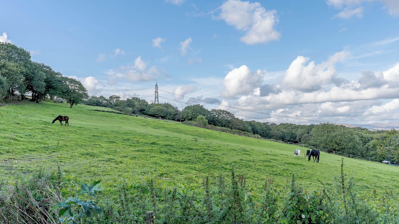 Photo of Others in Neath