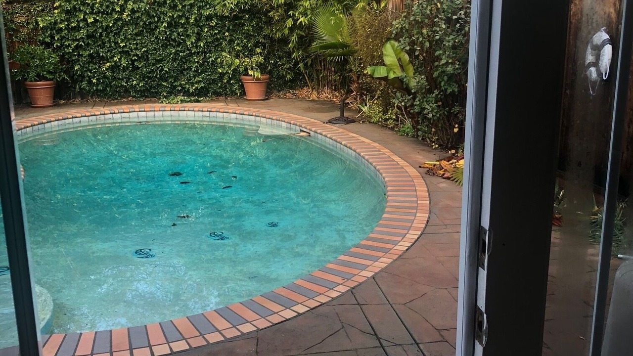 Photo of Outdoor in Shoreline West