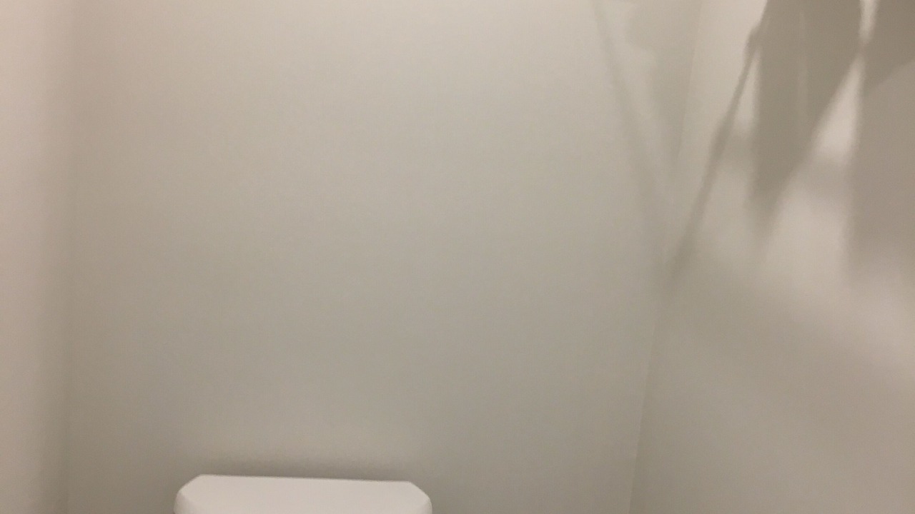 Photo of Bathroom in Mount Dennis