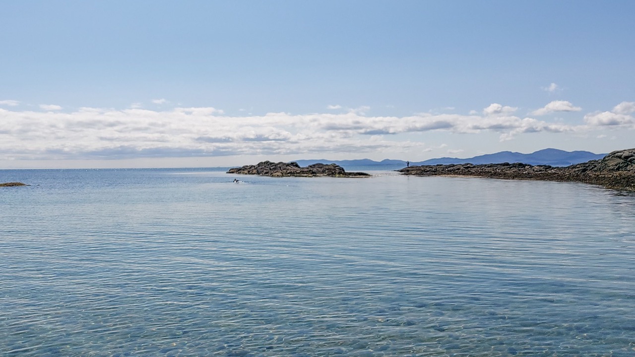 Photo of Others in Tayvallich