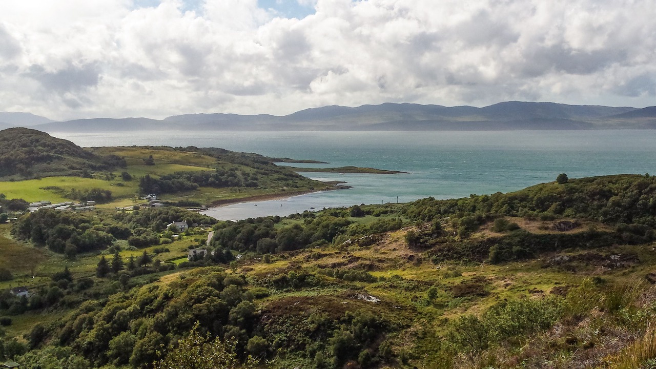Photo of Others in Tayvallich