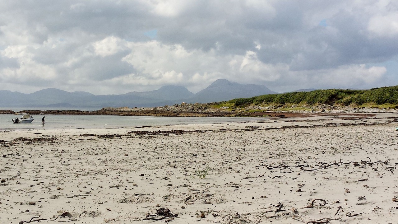 Photo of Others in Tayvallich