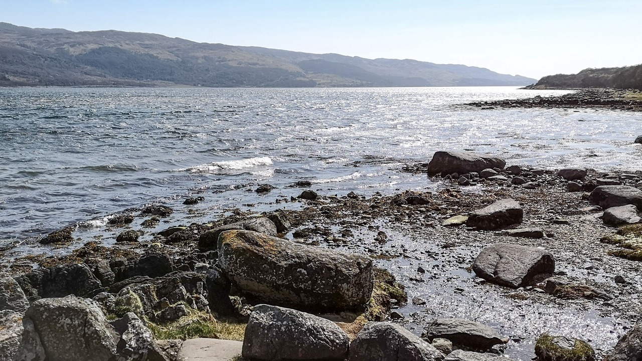 Photo of Others in Tayvallich