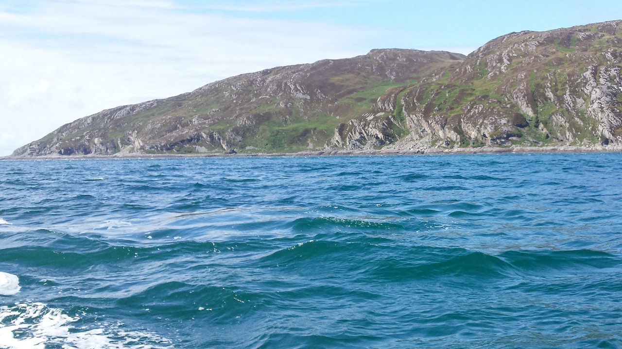 Photo of Others in Tayvallich